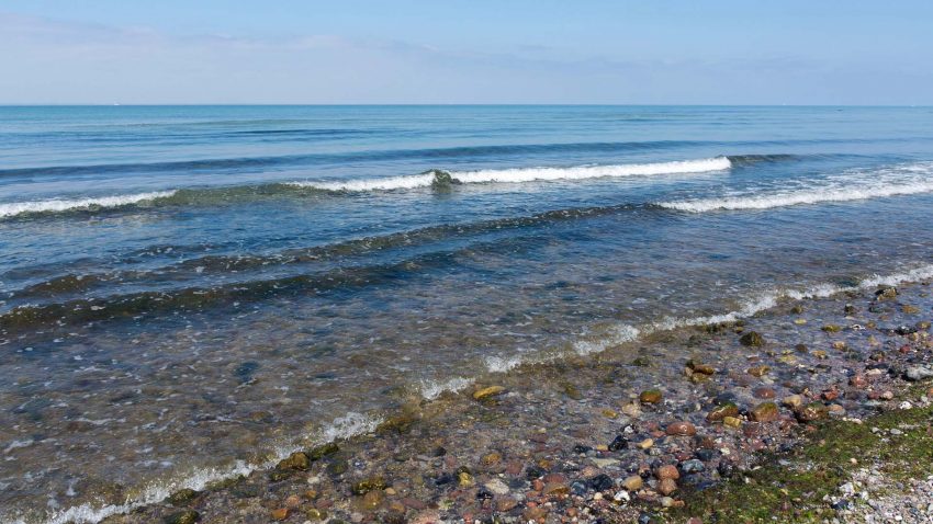 Strandkant vid Östersjön
