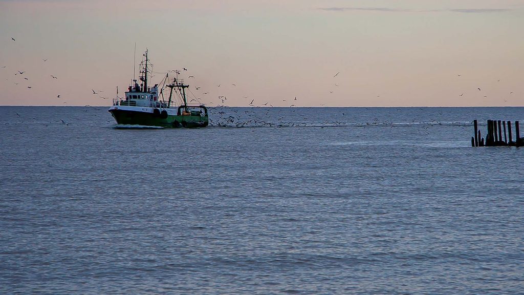 Fiskebåt på Östersjön