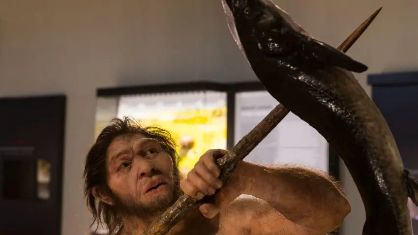 Neandertalare med ett spjut i en fisk