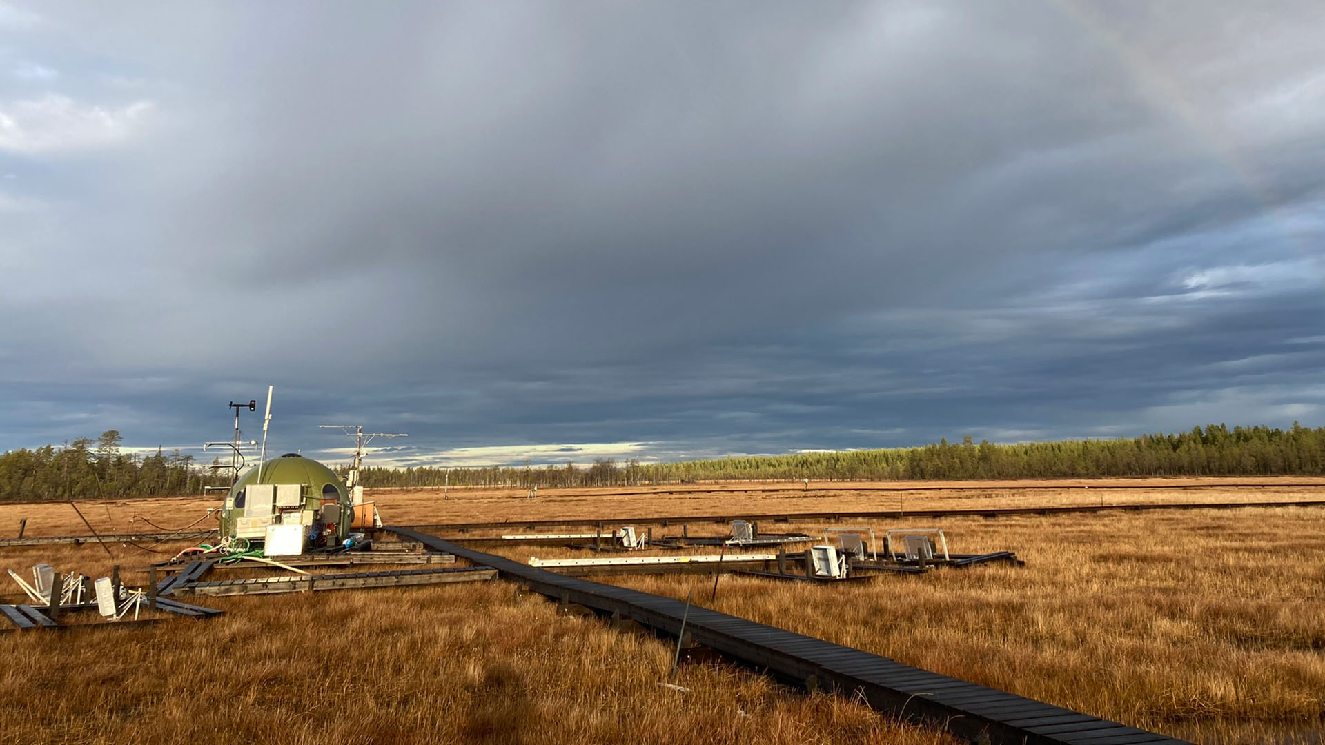 Myrmark med en kupolformad fältstation