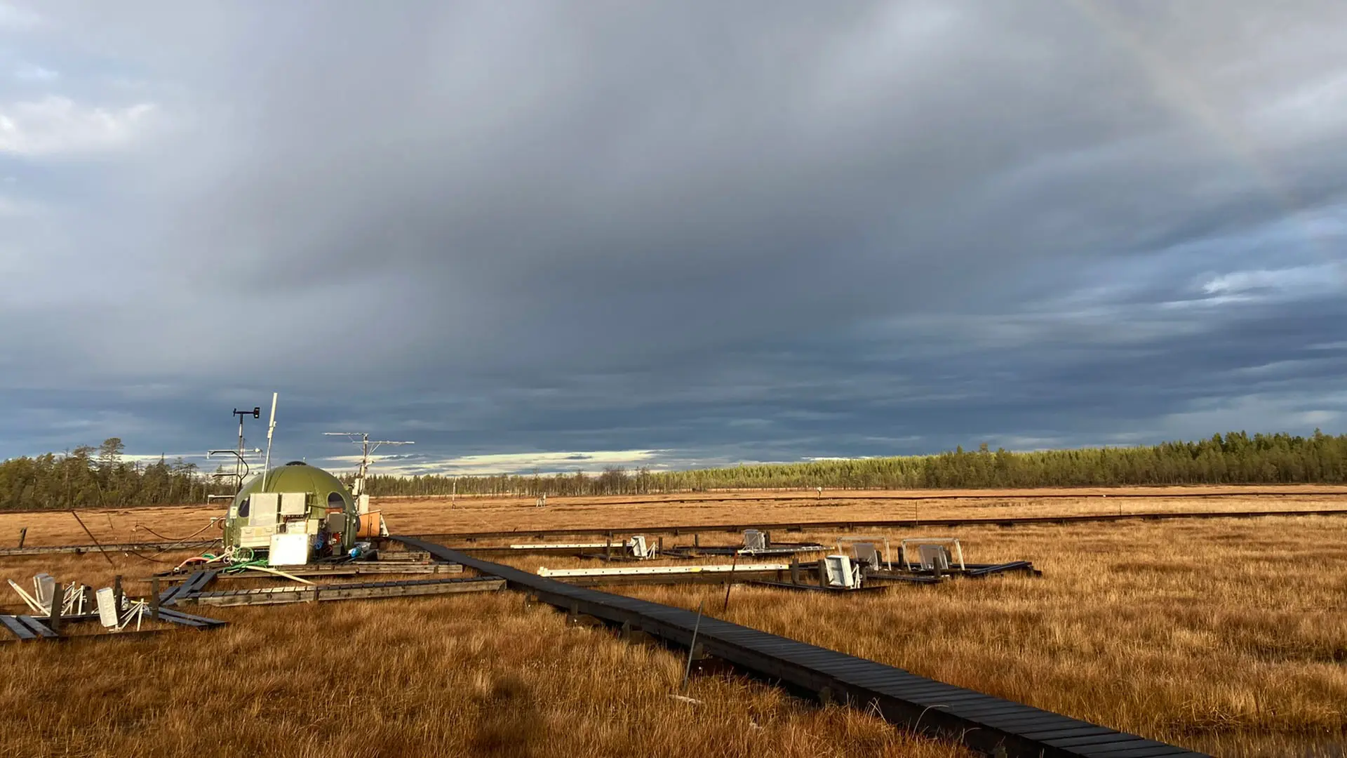 Myrmark med en kupolformad fältstation