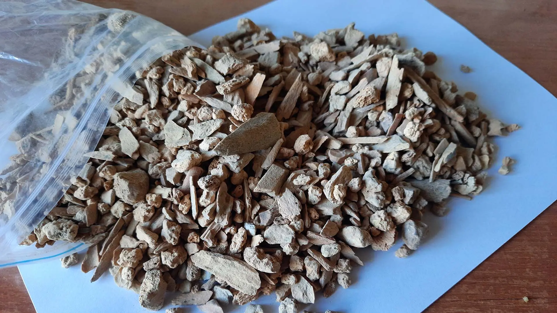 Plastpåse med många benbitar.