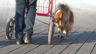 Person går med rollator.